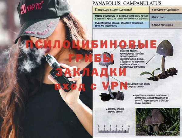 кокаин перу Михайлов