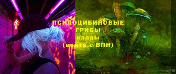 ГАЛЛЮЦИНОГЕННЫЕ ГРИБЫ Навашино