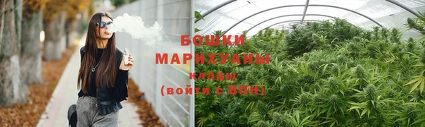 ГАЛЛЮЦИНОГЕННЫЕ ГРИБЫ Навашино